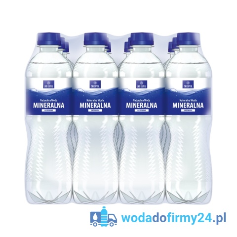 Paleta Wody Ustronianka 0,5L Gazowana 1368 szt. – Hurtowa Dostawa