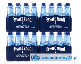 Żywiec Zdrój Mocno Gazowana 0,5L 48 Butelek 4 Zgrzewki | Woda Źródlana PET